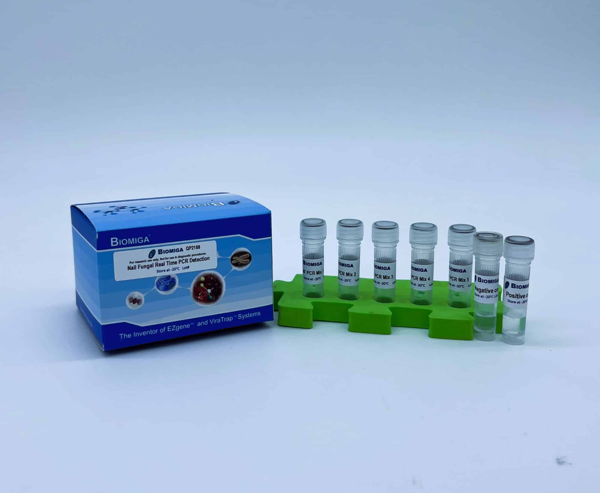 Nail Fungal Real Time PCR Detection